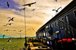 ddos压力测试平台